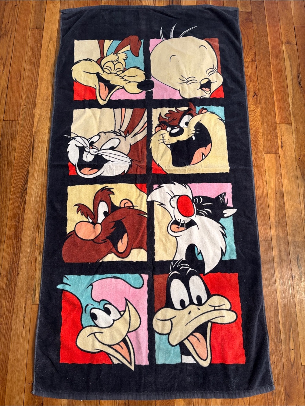 Looney Tunes Character beach towel - Black with Multi-Color Panels